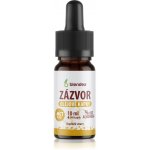 Blendea Zázvor olejové kapky 10 ml – Hledejceny.cz