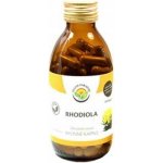 Salvia Paradise Rhodiola 120 ks – Hledejceny.cz