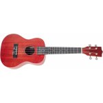 Tanglewood TWT 1 – Zbozi.Blesk.cz