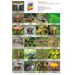 Sada pexesa Já a můj svět 2 – Hledejceny.cz