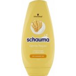 Schauma Gentle Repair kondicionér 250 ml – Zboží Dáma