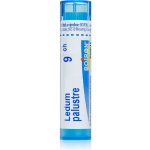LEDUM PALUSTRE POR 9CH GRA 1X4G – Hledejceny.cz