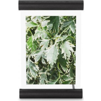 Umbra Scroll Picture Frame, volně stojící stolní fotorámeček, fotorámeček, dřevo, černý, portrét a krajina, 13 x 18 cm, 1016770-040 – Zbozi.Blesk.cz
