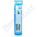 LOBELIA INFLATA POR 9CH GRA 1X4G – Hledejceny.cz