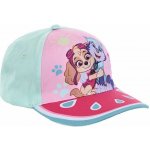 SunCity dívčí Tlapková patrola Paw Patrol motiv Skye a Everest Tyrkysová – Hledejceny.cz