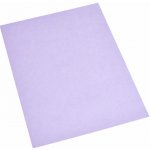 Barevný kopírovací papír fialový A4 80g 100 listů – Zboží Dáma