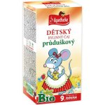 Apotheke BIO Průduškový čaj 20 x 1,5 g – Sleviste.cz