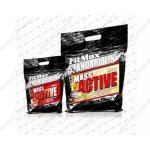 Fitmax Mass Active 5000 g – Hledejceny.cz
