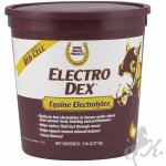 Electro Dex Elektrolyt 2,27 kg – Zboží Dáma