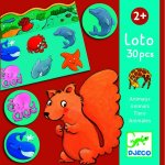 Djeco Zvířátkové loto – Zboží Dáma