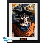 GB eye Obraz - DRAGON BALL DBZ/"Goku", PFC1974 – Hledejceny.cz