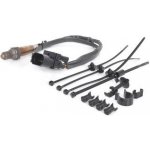 Lambda sonda BOSCH 0 258 007 355 (0258007355) | Zboží Auto