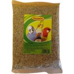 Avicentra Lesknice 1 kg – Zboží Dáma