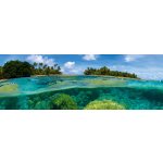 DIMEX KI180-013 Samolepící fototapeta do kuchyně Coral Reef rozměry 180 x 60 cm – Zboží Dáma