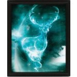 Obraz 3D Harry Potter - Patron – Hledejceny.cz