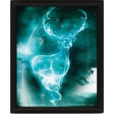 Obraz 3D Harry Potter - Patron – Hledejceny.cz