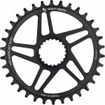 Převodník Wolf Tooth DM pro Shimano 12s 34t boost - black – Zboží Dáma