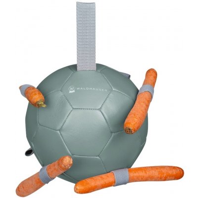 WALDHAUSEN Hračka pro koně Carrot Ball – Hledejceny.cz