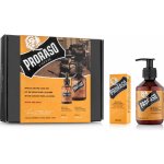 Proraso Wood and Spice olej na vousy 30 ml + šampon na vousy 200 ml dárková sada – Zboží Dáma