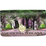 Nesti Dante Emozioni In Toscana Enchanting Forest toaletní mýdlo 250 g – Zboží Dáma