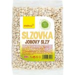 Wolfberry Slzovka obecná 250 g – Sleviste.cz