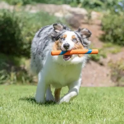 Chuckit! Aportovací tyč Ultra Fetch – Hledejceny.cz