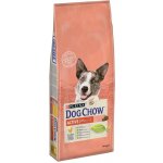 Purina Dog Chow All size adult ACTIVE kuře 14 kg – Zboží Mobilmania