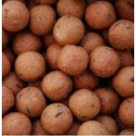 LK Baits boilies Euro Economic Spice Shrimp 5 kg 20 mm – Zboží Mobilmania