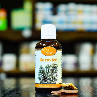 Serafin Borovice tinktura z pupenů extra silna 50 ml – Hledejceny.cz