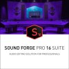 Program pro úpravu hudby Magix Sound Forge Pro 16 Suite