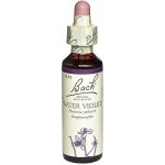Bachovy květové esence kapky Water Violet Žebratka bahení 20 ml – Hledejceny.cz