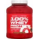 Scitec Nutrition 100 Whey Protein Professional 1816 g – Hledejceny.cz