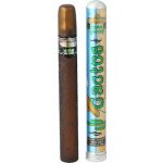 Cuba Mexico Cactus toaletní voda pánská 35 ml – Hledejceny.cz