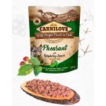 Carnilove Paté Pheasant with Raspberry Leaves 300 g – Zbozi.Blesk.cz