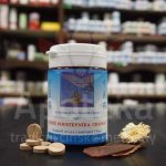 TCM Herbs Zátiší poustevníka Changa 100 tablet – Hledejceny.cz