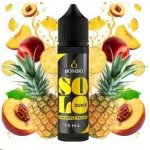 Bombo Solo Juice S & V Pineapple Peach 15 ml – Zboží Mobilmania