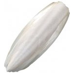 Sepiová kost 15 cm+/-3 cm volně – Hledejceny.cz