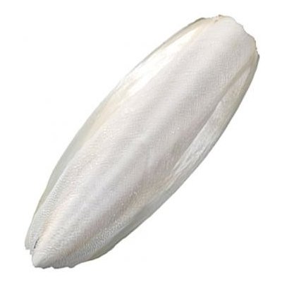 Sepiová kost 15 cm+/-3 cm volně – Hledejceny.cz