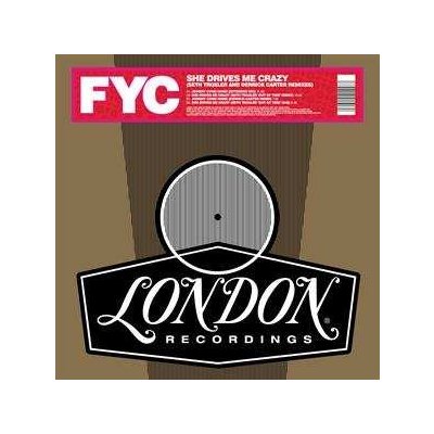 Fine Young Cannibals - She Drives Me Crazy Seth Troxler And Derrick Carter Remixes LTD LP – Hledejceny.cz