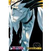 Komiks a manga Bleach 5 - Tite Kubo