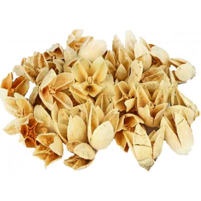 Dekorace Bakuli bělený 20 ks – Zboží Dáma