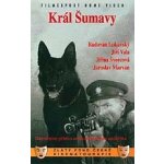 Král Šumavy DVD – Hledejceny.cz