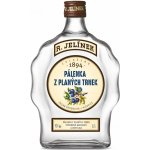 R. Jelínek Pálenka z planých trnek 42% 0,7 l (holá láhev) – Zboží Dáma