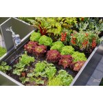 Gardena 13455-20 – Zbozi.Blesk.cz