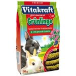 Vitakraft Greenies Rabbit 50 g – Zboží Dáma