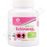 Galmed Echinacea forte 600 mg+vit.C+zinek 100 tablet – Hledejceny.cz