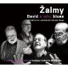 Audiokniha Žalmy - David a jeho blues