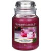 Svíčka Yankee Candle Sweet Plum Sake 623 g