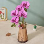 Robotime Dřevěná květina - Orchidej – Hledejceny.cz