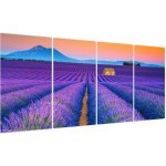Obraz - Levandulové pole, Čtyřdílný 160x80 cm – Hledejceny.cz